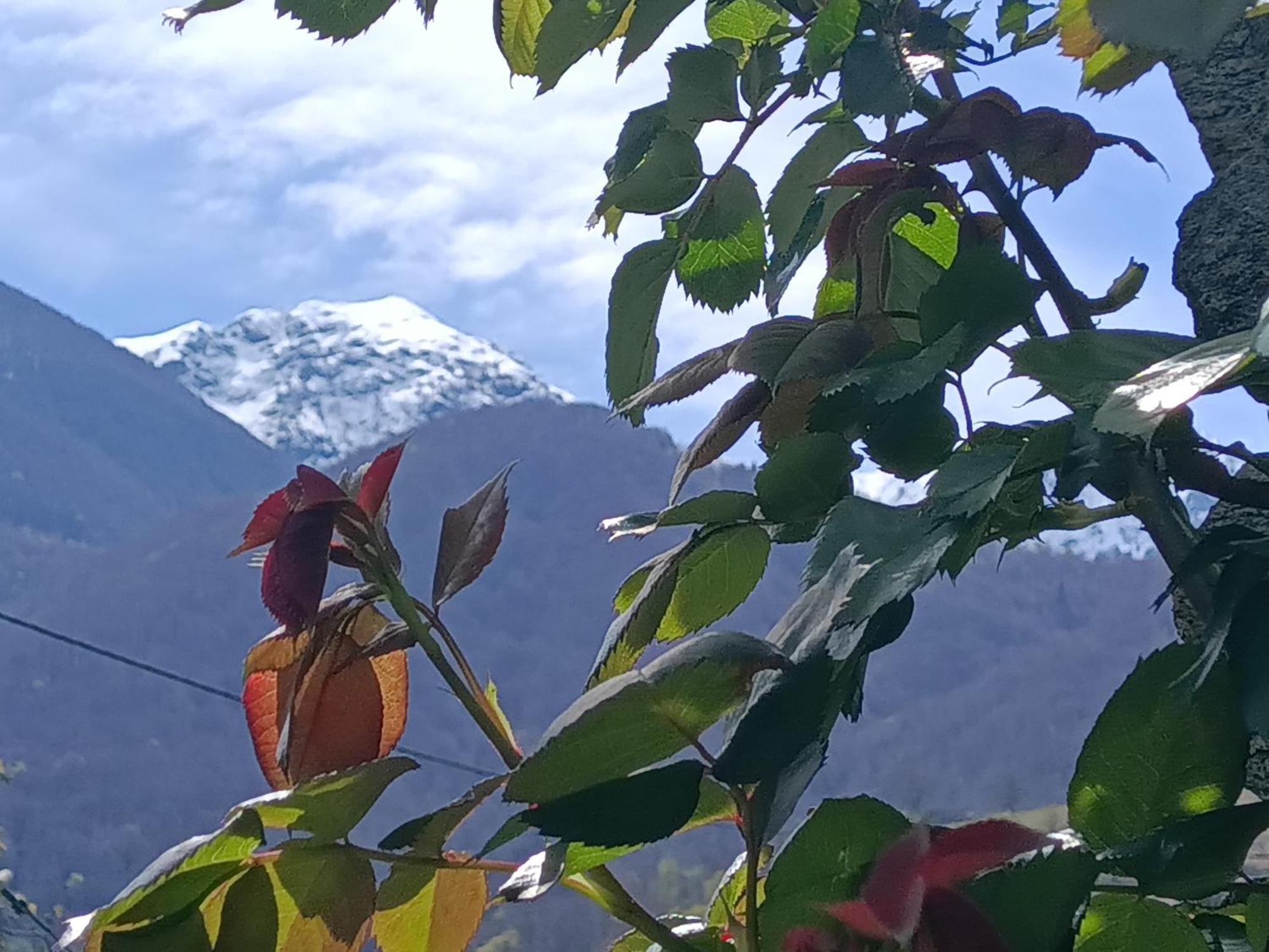 Vila Rustico "Casa Di Sasso" Intragna Exteriér fotografie